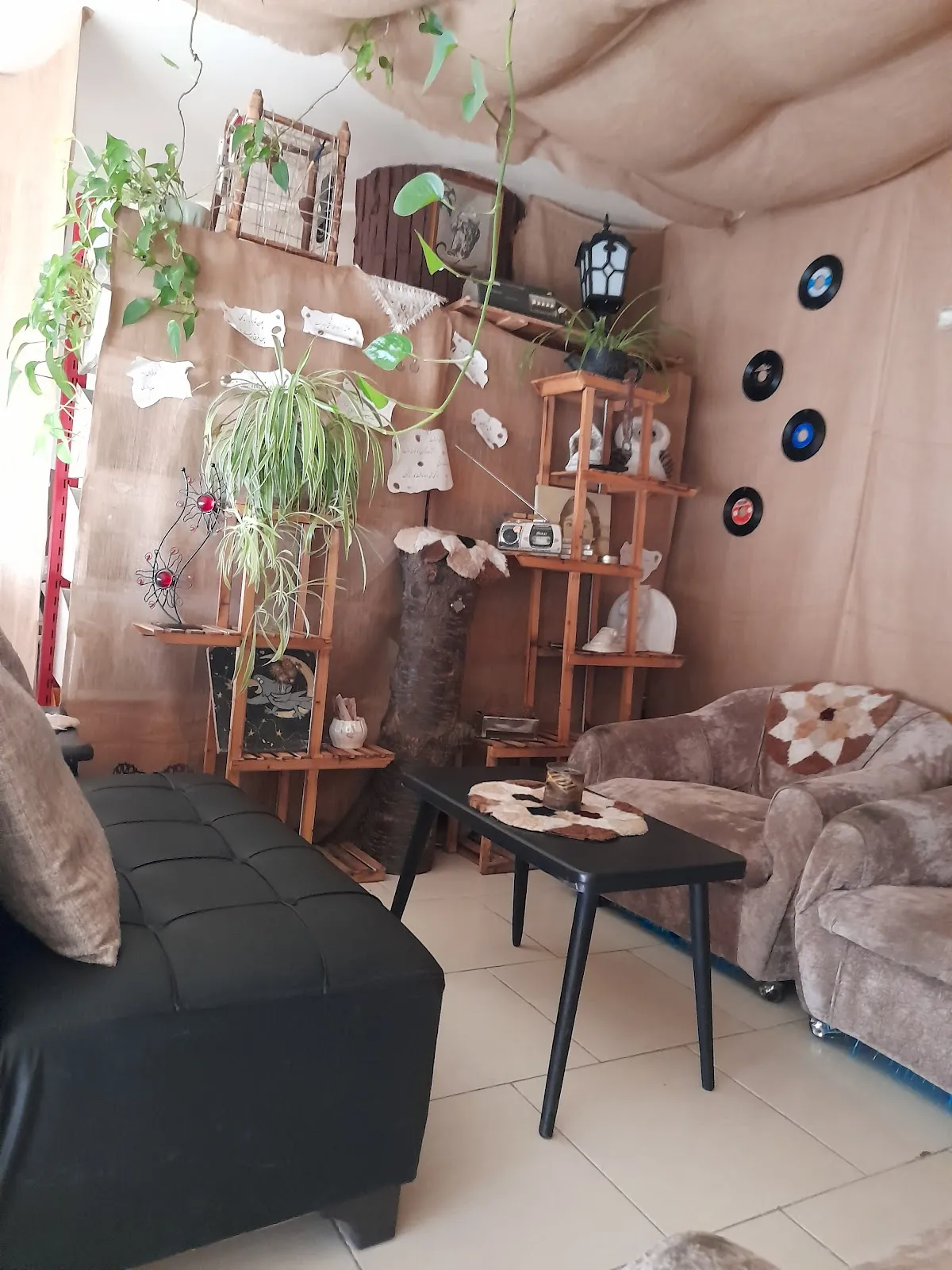 کافه حس مثبت، تصویر ۵