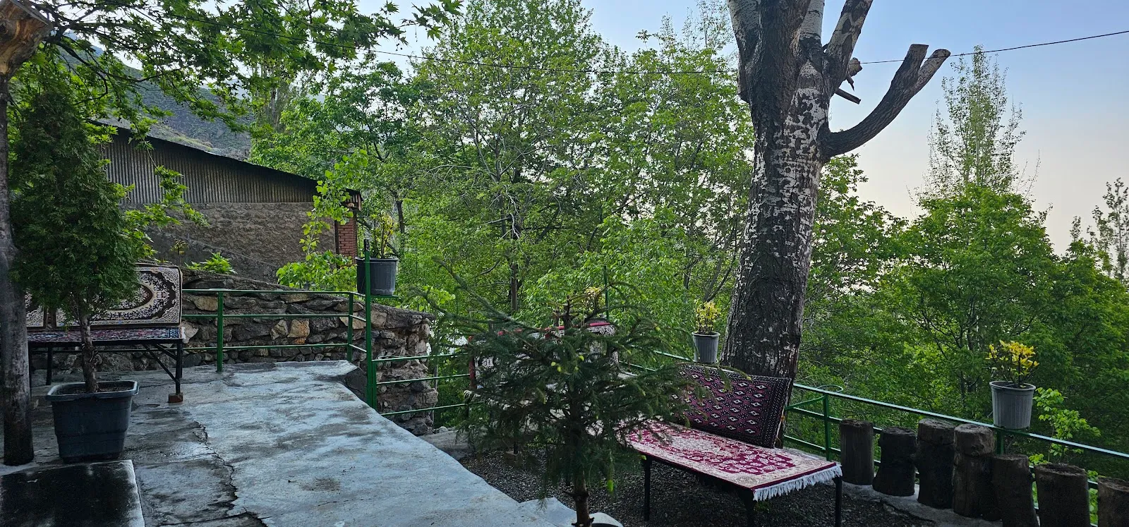 کافه مجید
