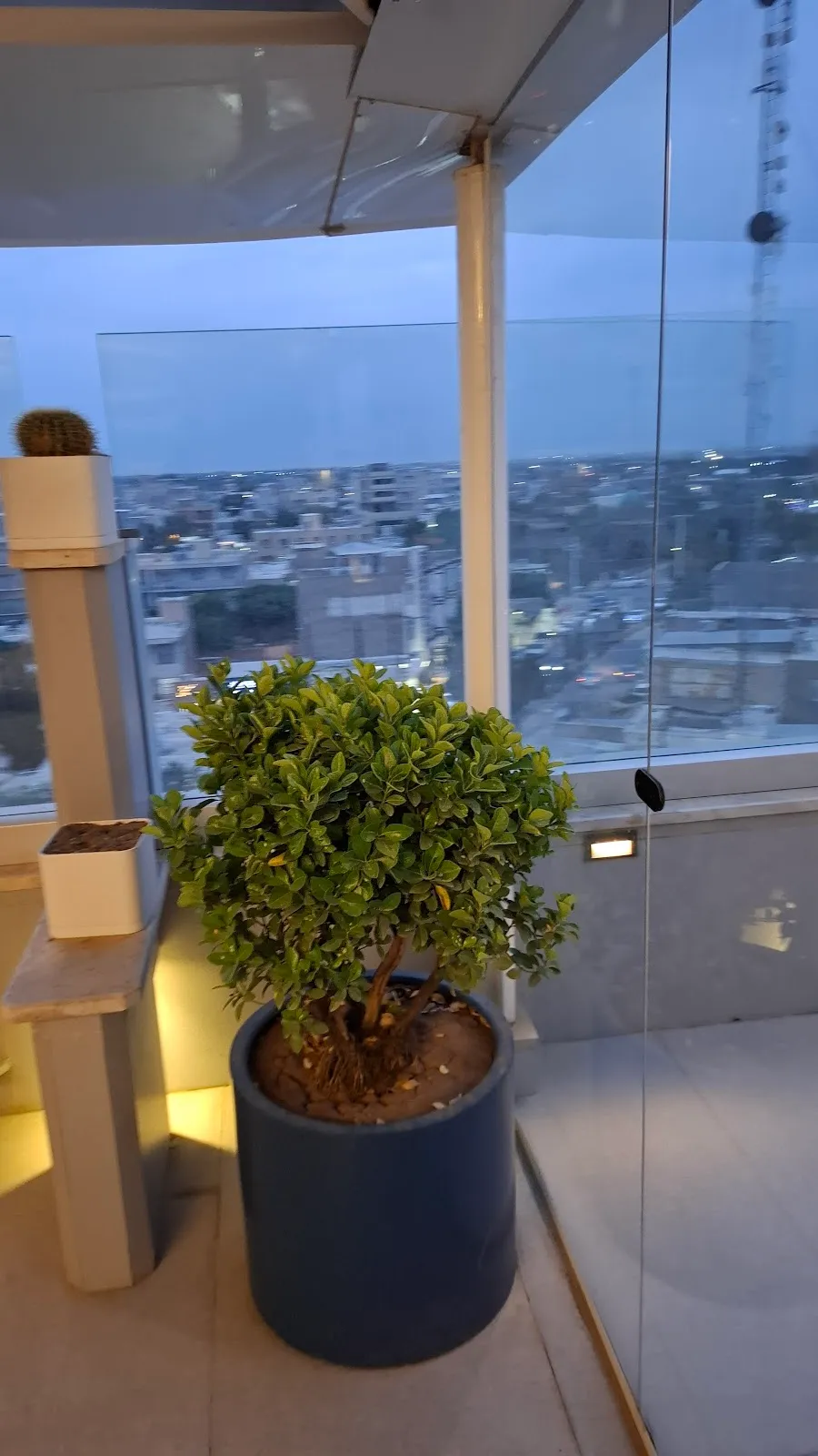 کافه دارچین، تصویر ۴