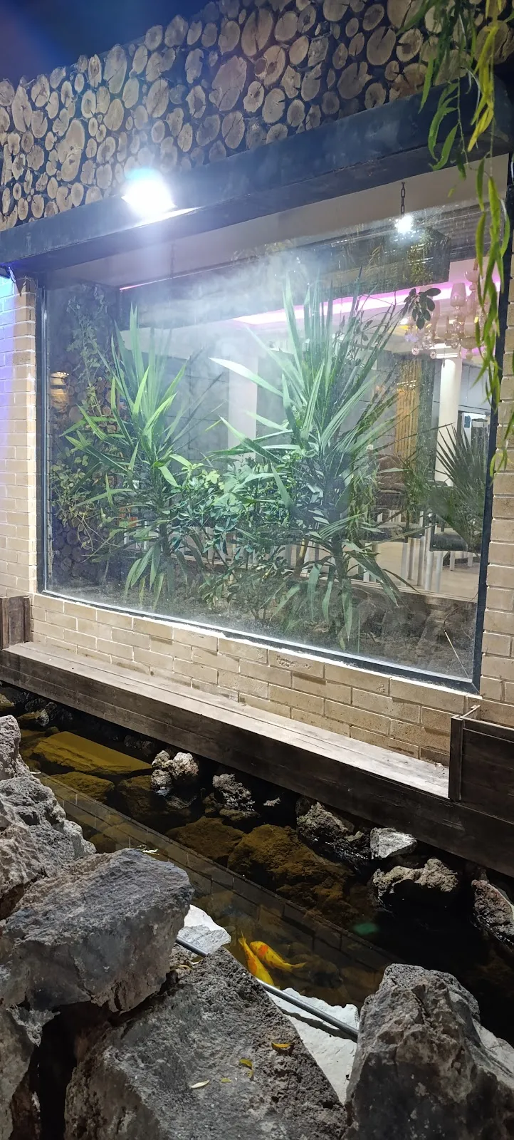 کافه رستوران بابا تیمور، تصویر ۵