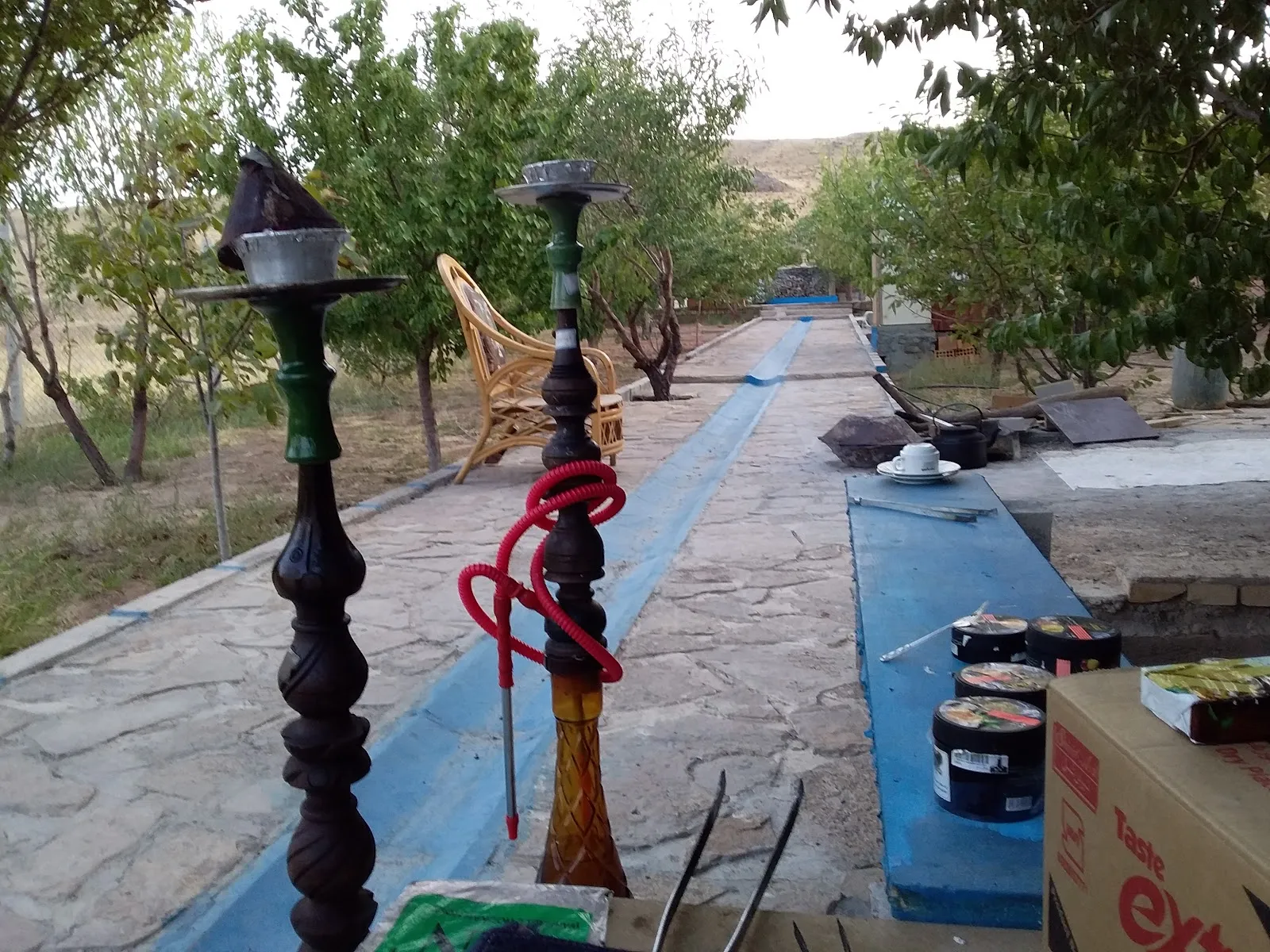 باغ (ضیافت) قاسمی، تصویر ۲