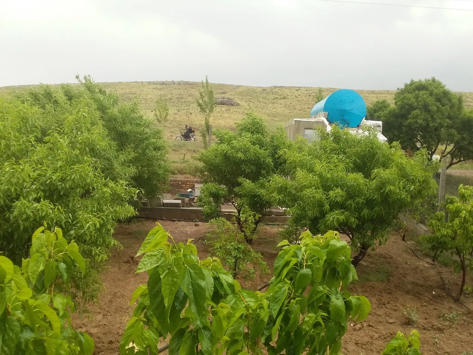 باغ (ضیافت) قاسمی، تصویر ۳