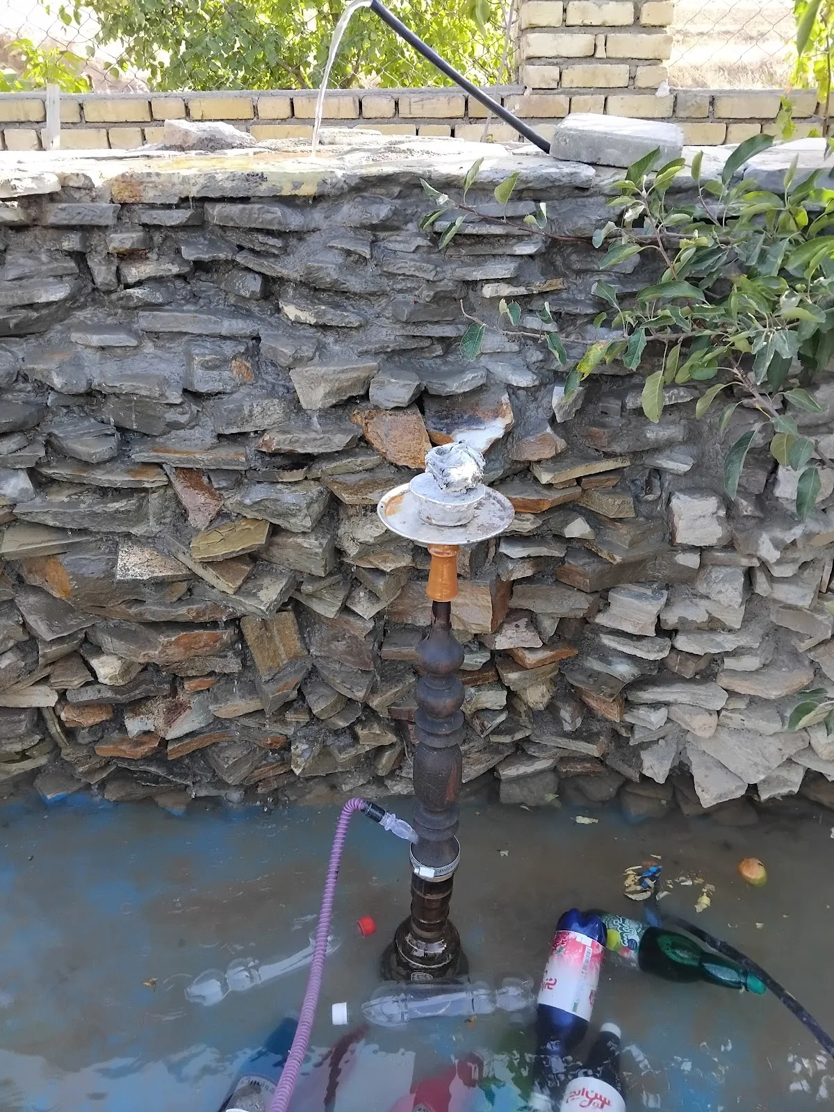 باغ (ضیافت) قاسمی، تصویر ۴
