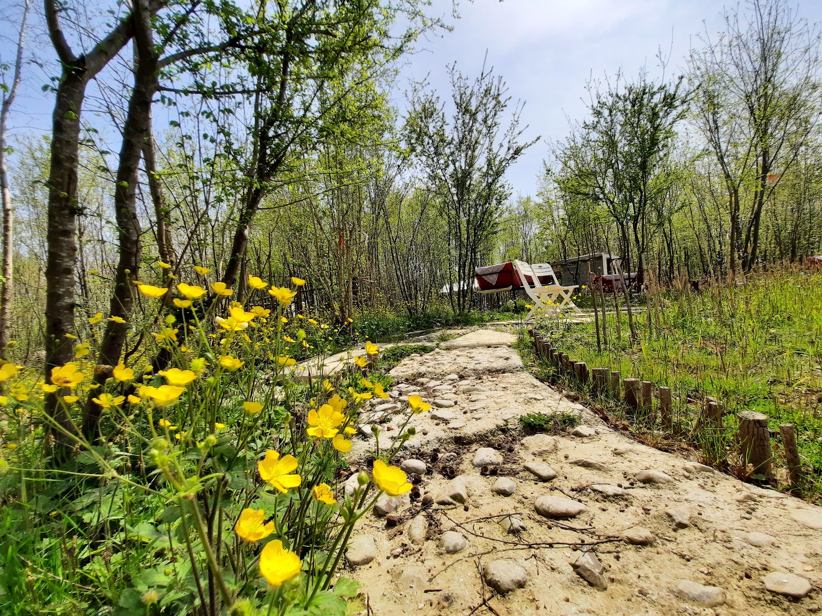 کافه جنگلی چیران، تصویر ۳