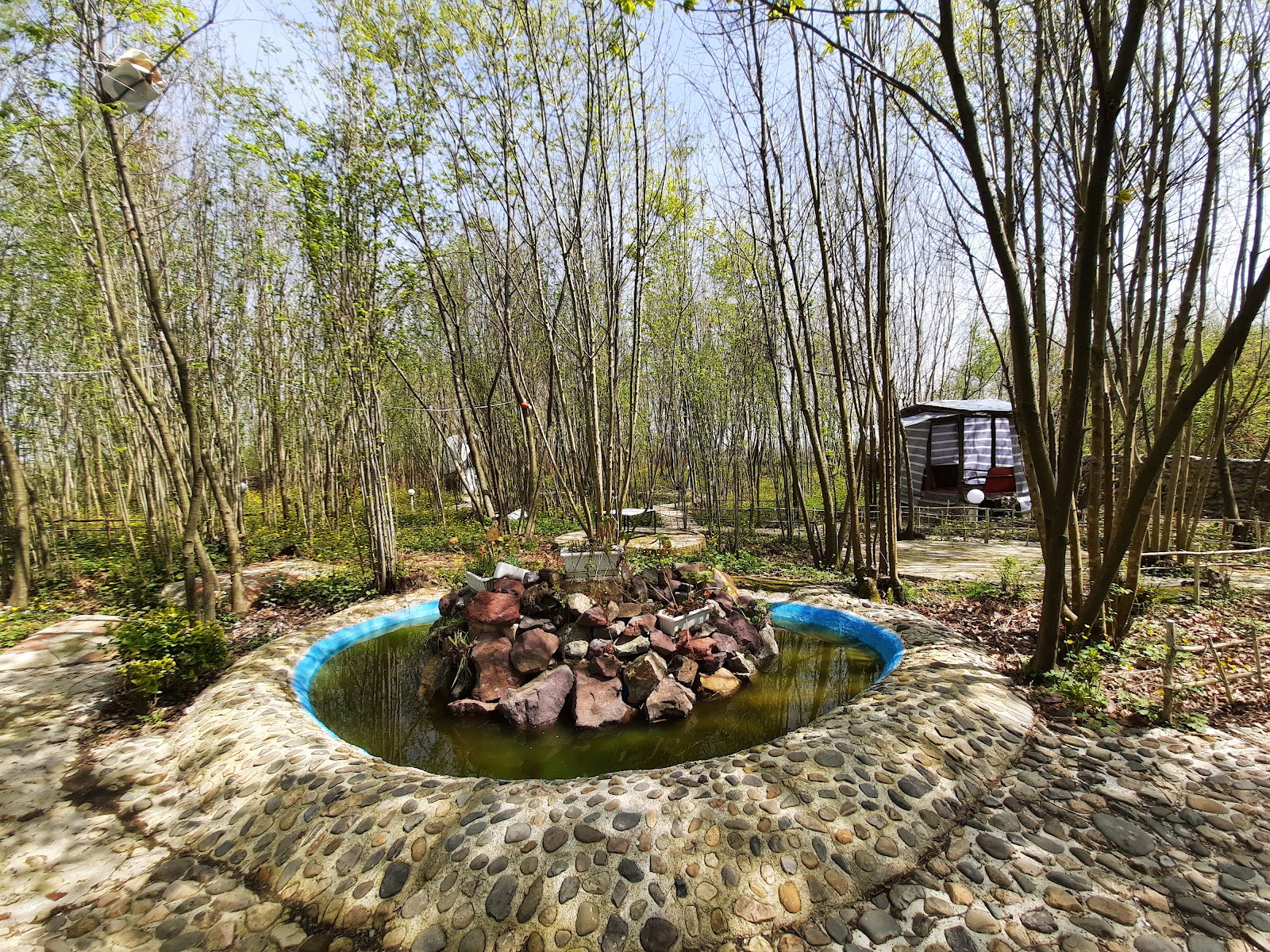 کافه جنگلی چیران، تصویر ۴