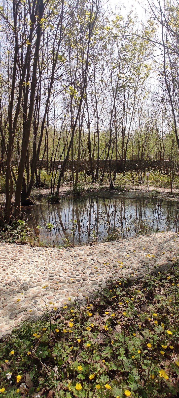 کافه جنگلی چیران، تصویر ۸
