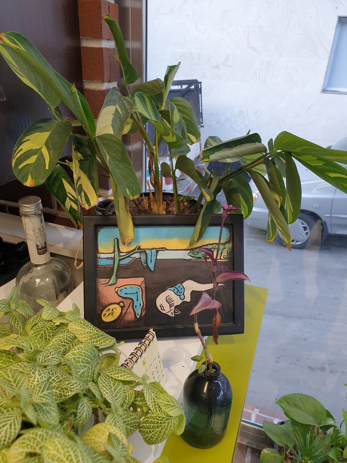 کافه نمونه، تصویر ۸