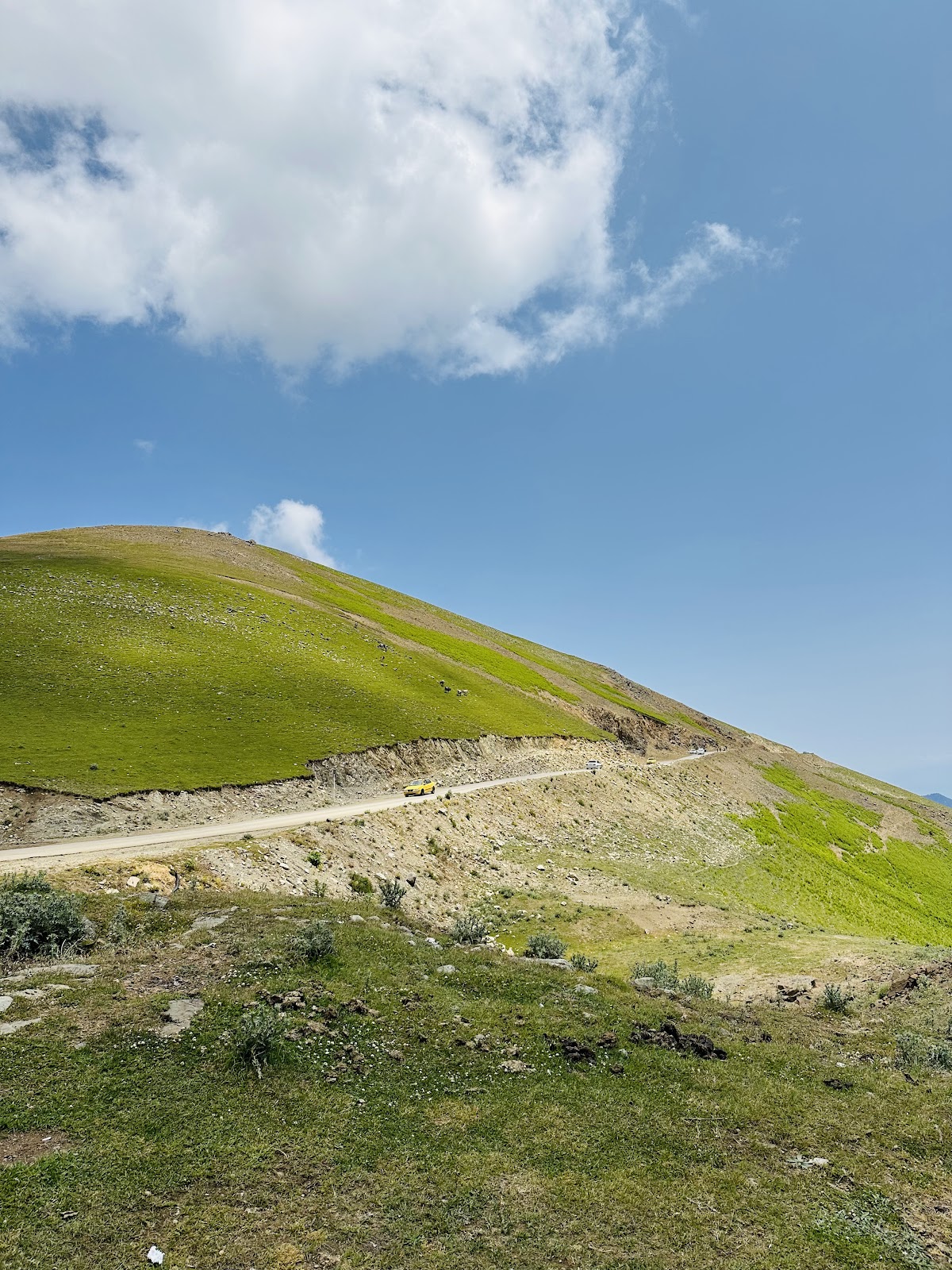 کافه داتام، تصویر ۷