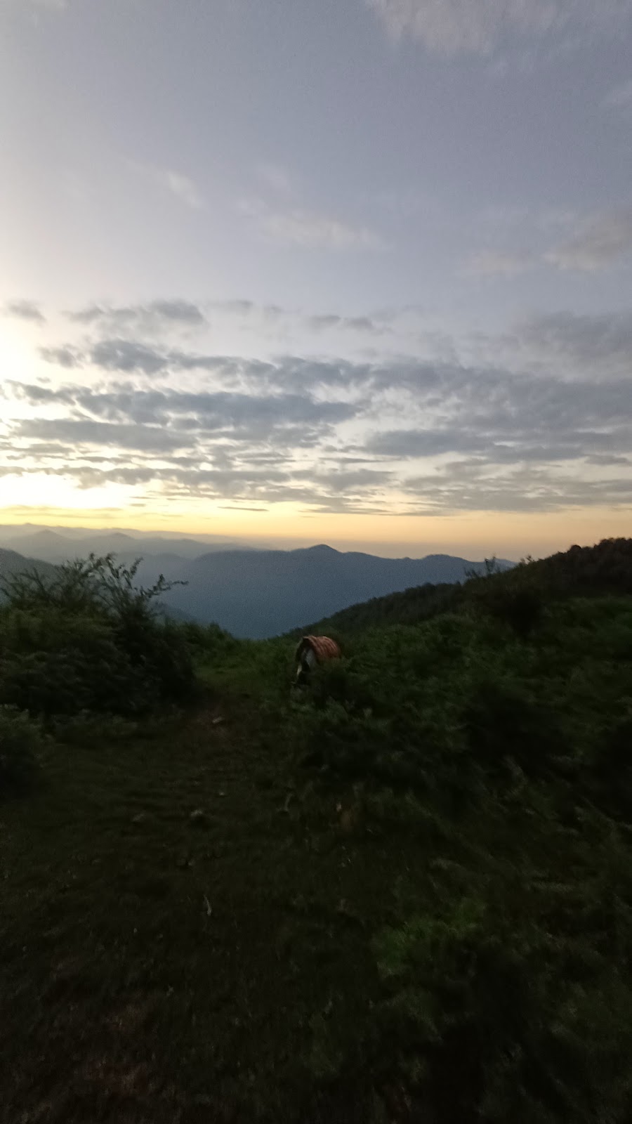 کافه خوشحالی، تصویر ۳