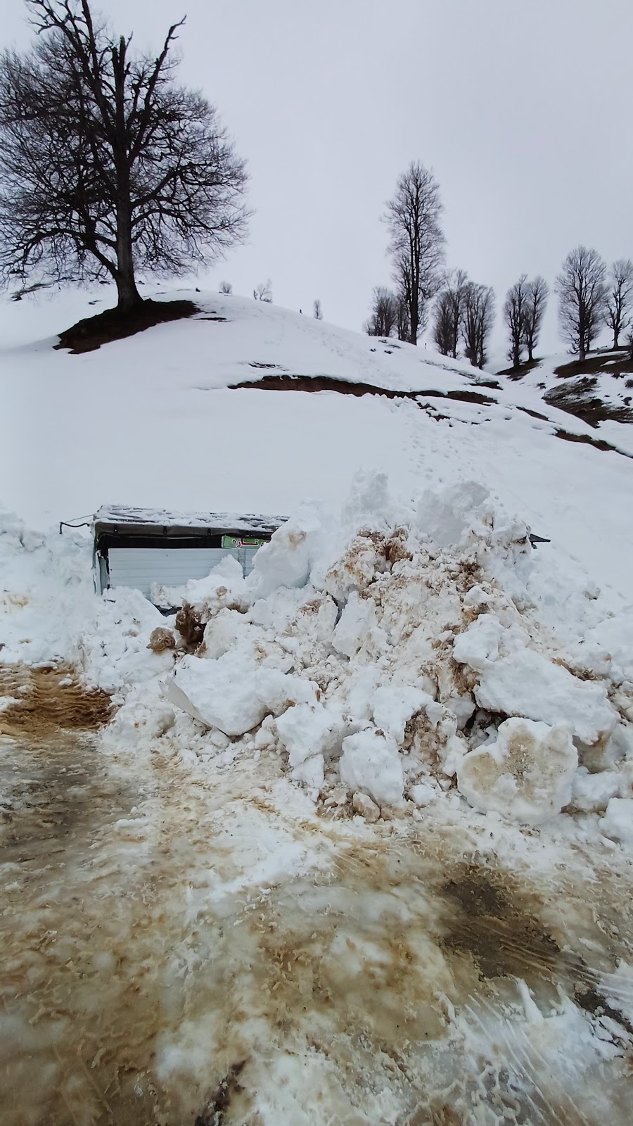 کافه خوشحالی، تصویر ۶
