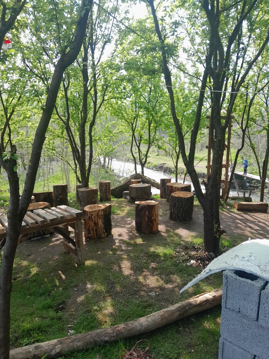 کافی شاپ آرشا، تصویر ۲