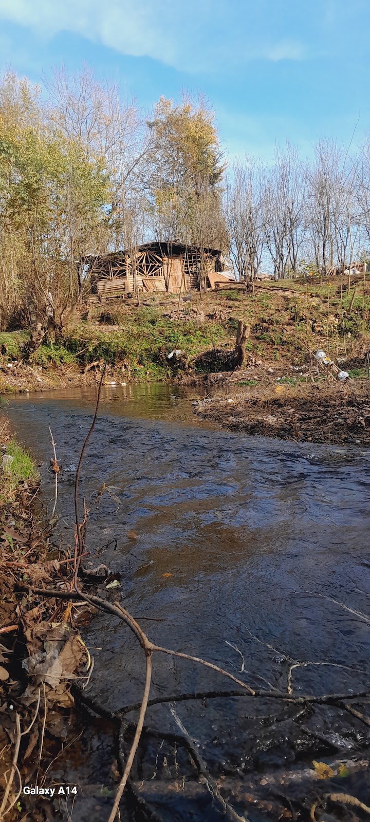 کافی شاپ آرشا، تصویر ۷