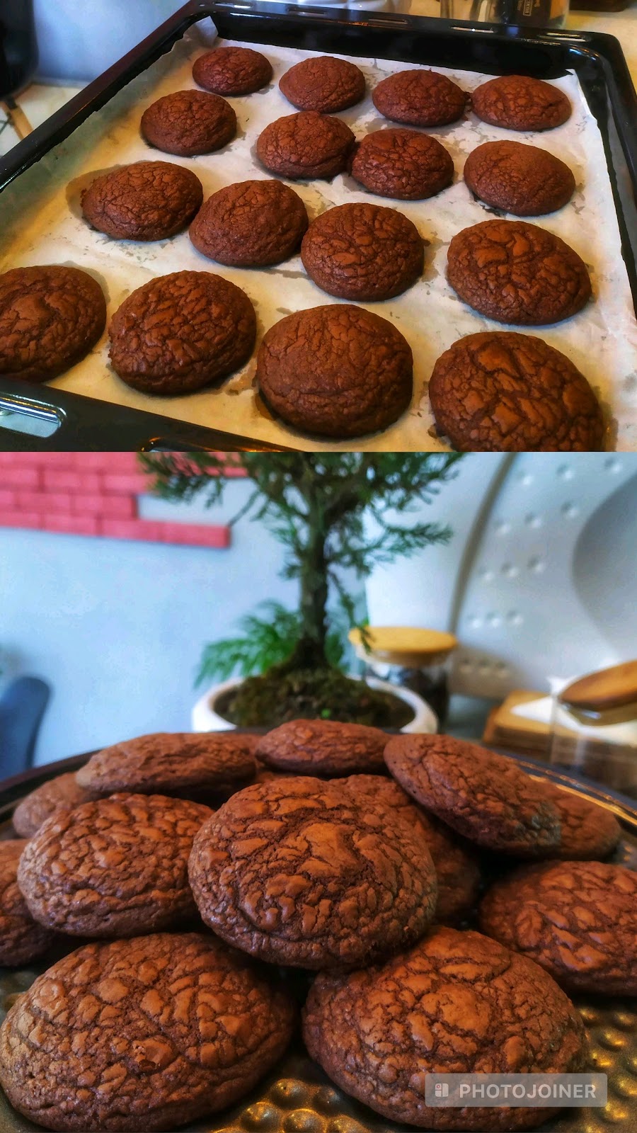 کافه جوانه، تصویر ۷