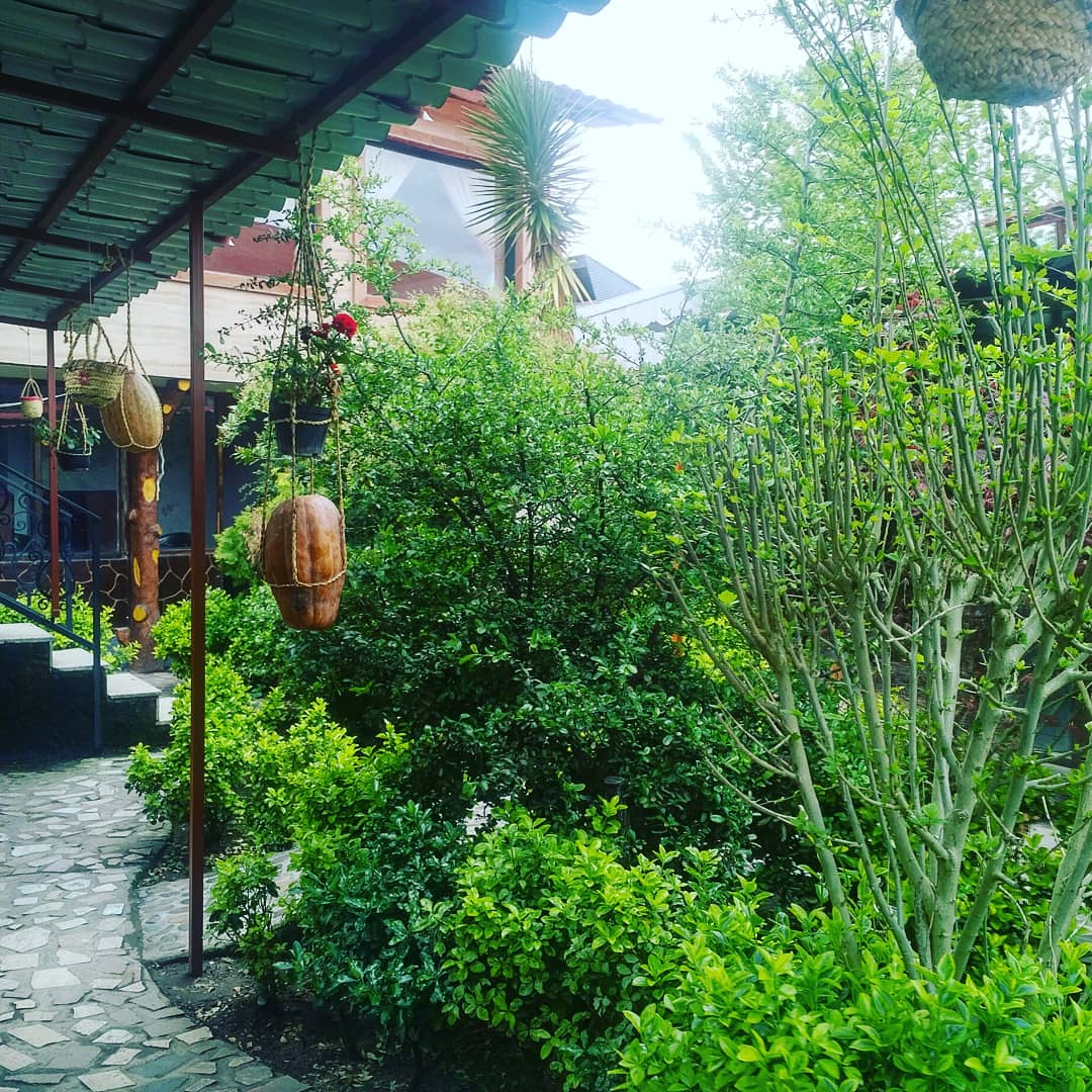 چای مشتی علی، تصویر ۳