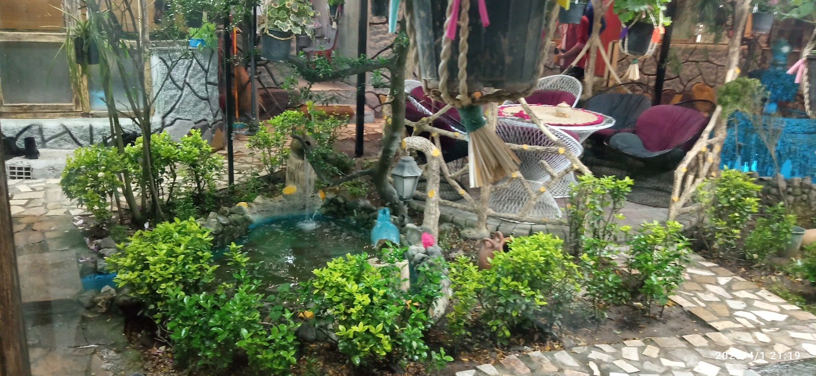 چای مشتی علی، تصویر ۶