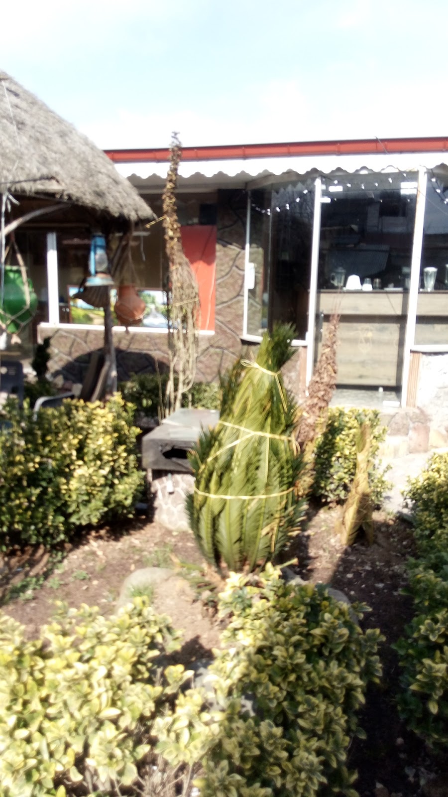 چای مشتی علی، تصویر ۸