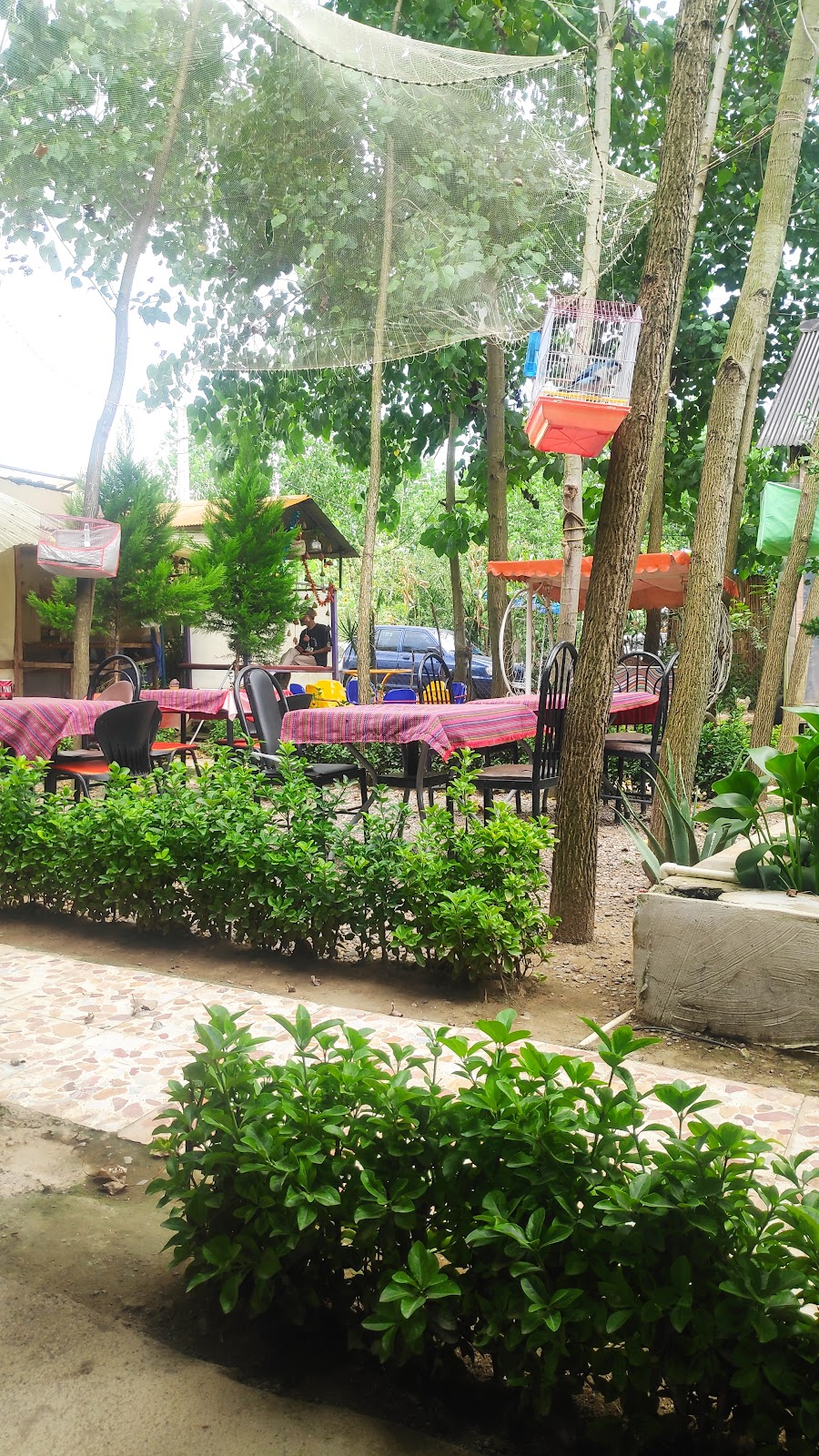 کافه رستوران تالاب، تصویر ۶
