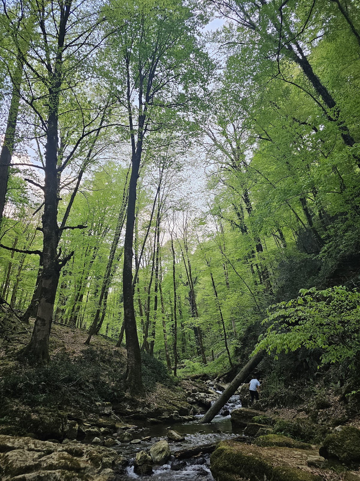 کافه تی نوش، تصویر ۴