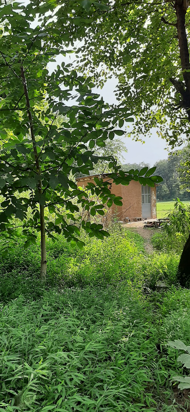 کلبه بیجار، تصویر ۳