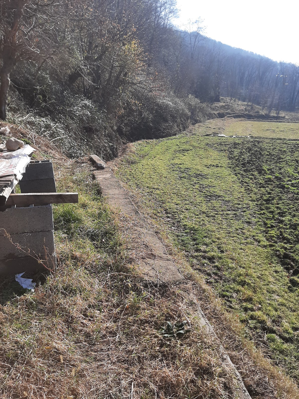 کلبه بیجار، تصویر ۸