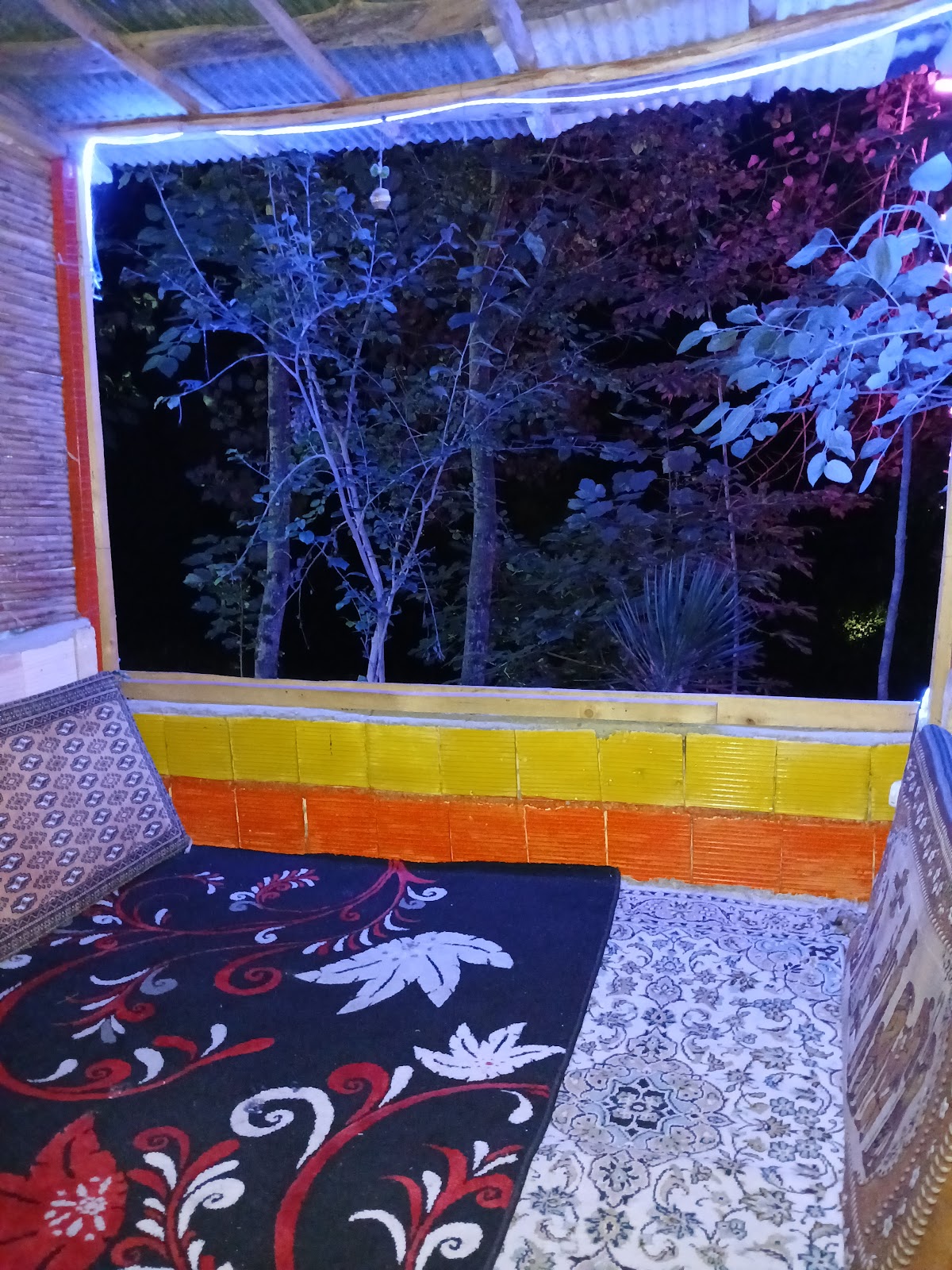 کافه جنگل، تصویر ۳