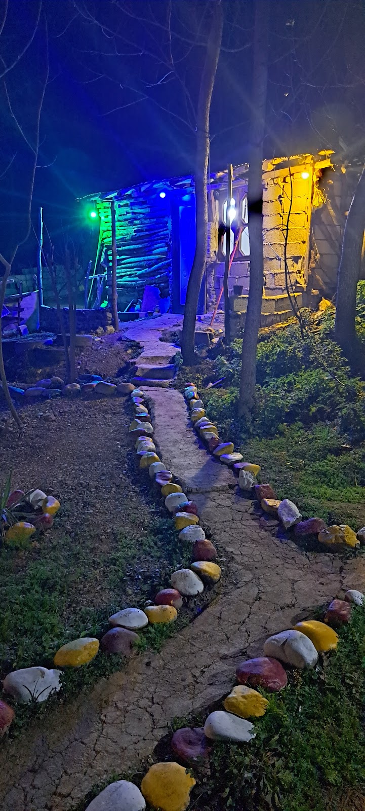کافه جنگل، تصویر ۴