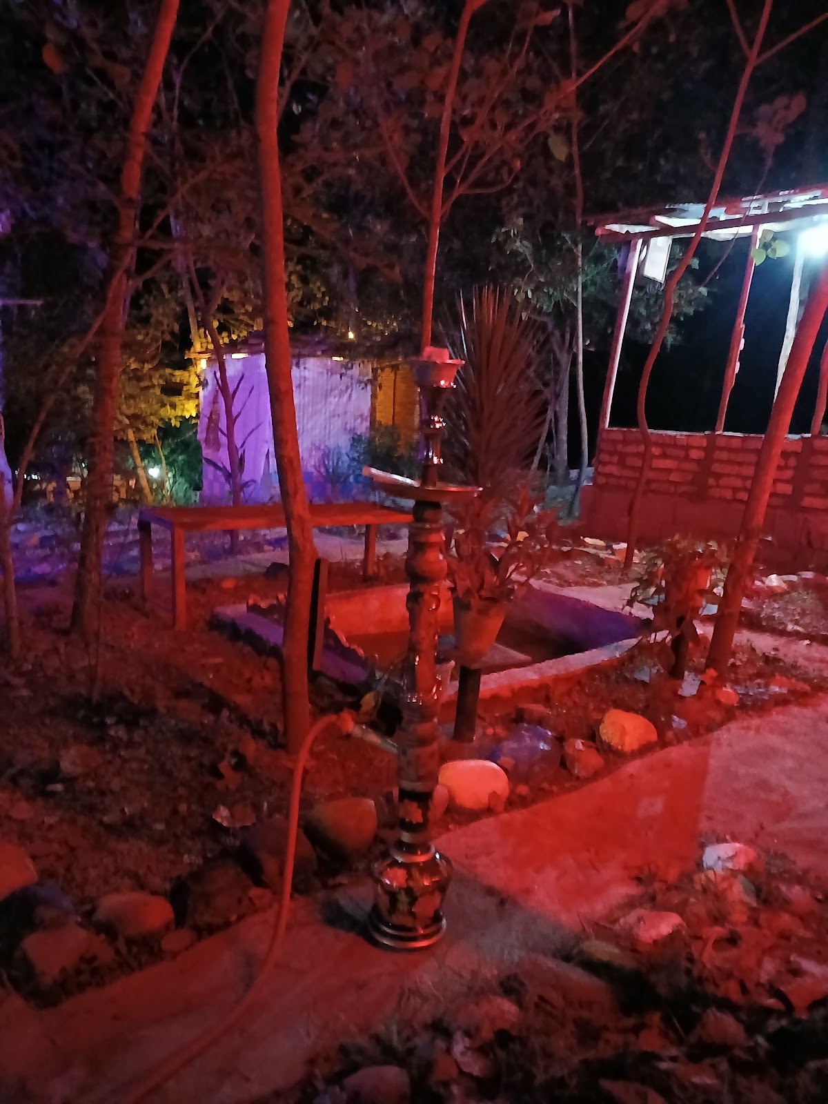 کافه جنگل، تصویر ۵