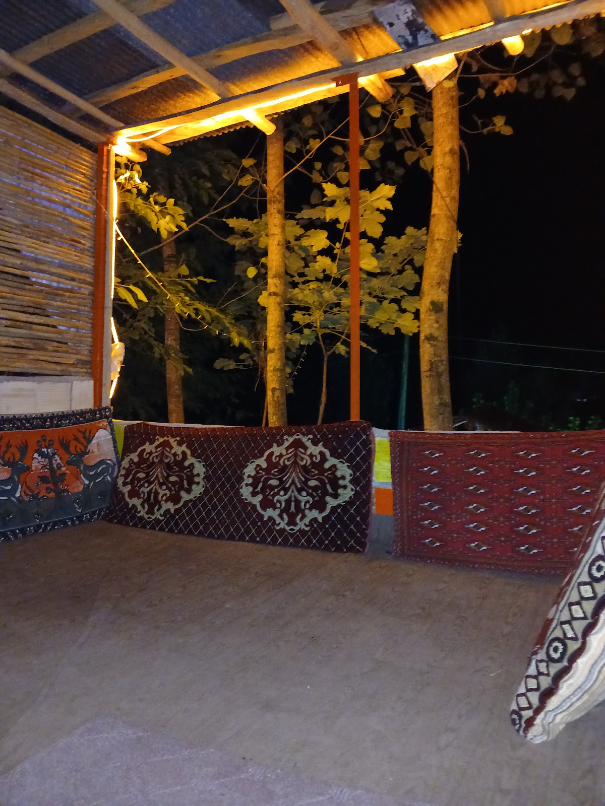 کافه جنگل، تصویر ۷