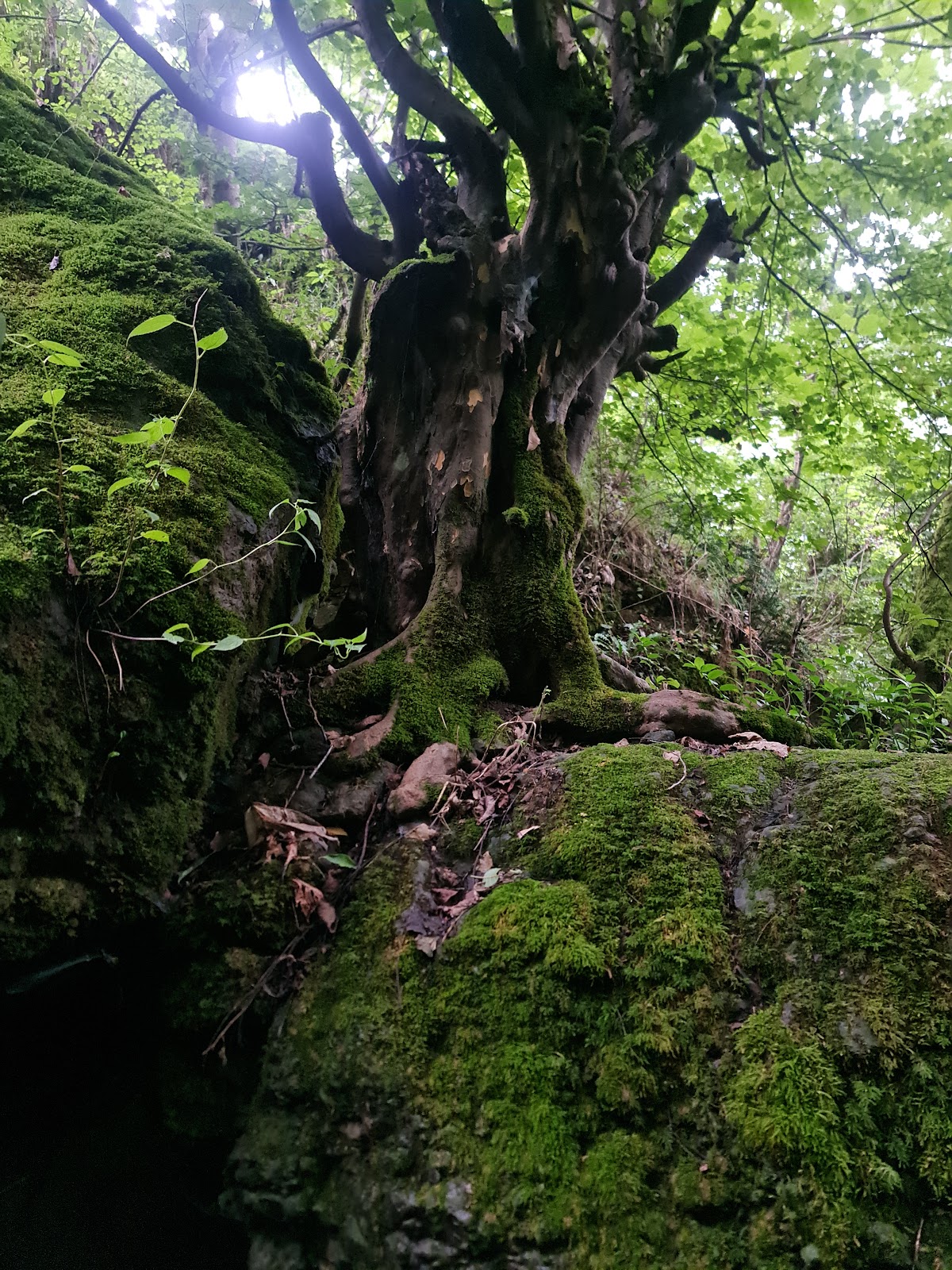ایستگاه چای و نان، تصویر ۲