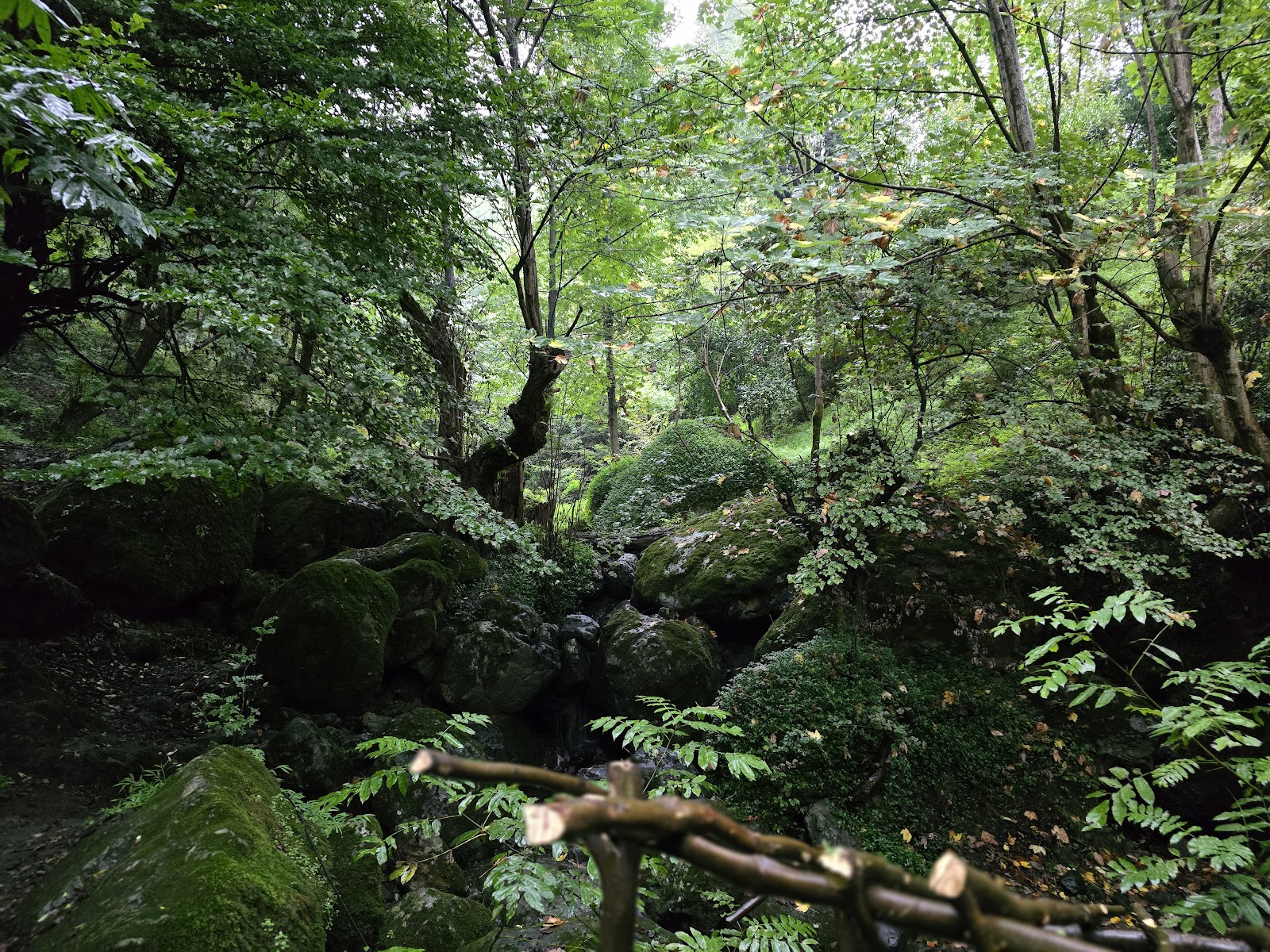 ایستگاه چای و نان، تصویر ۳