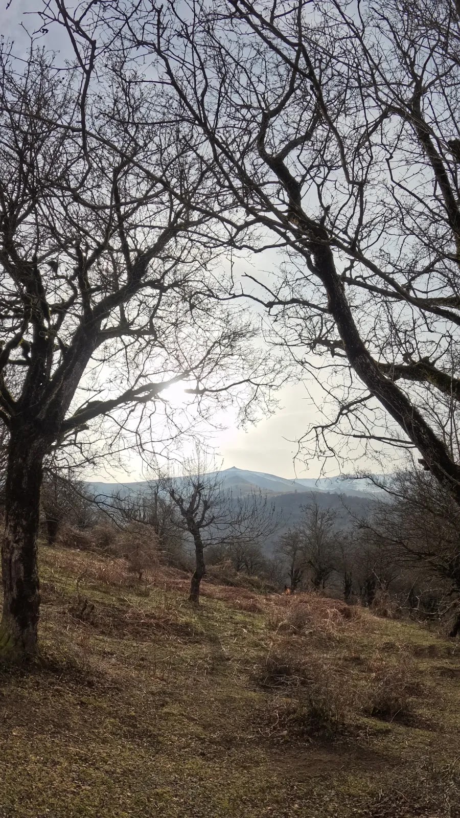 چایخانه کنه چمه للندیز، تصویر ۷