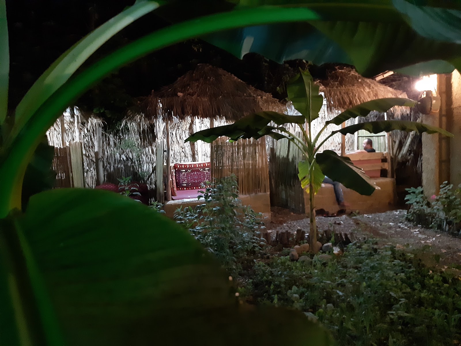 کافه سوتکا، تصویر ۴