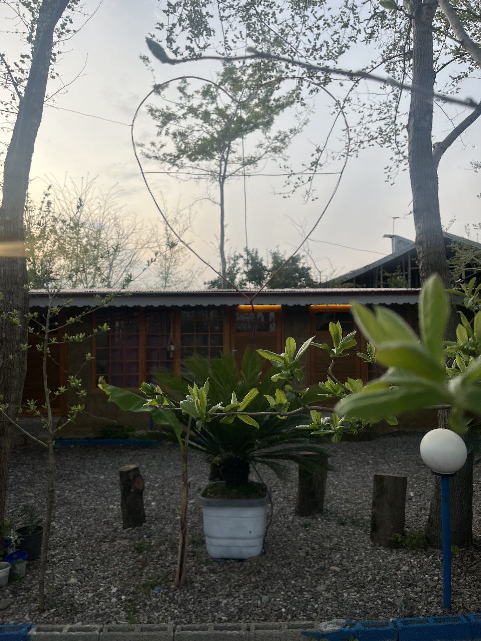 کافه سوتکا، تصویر ۷