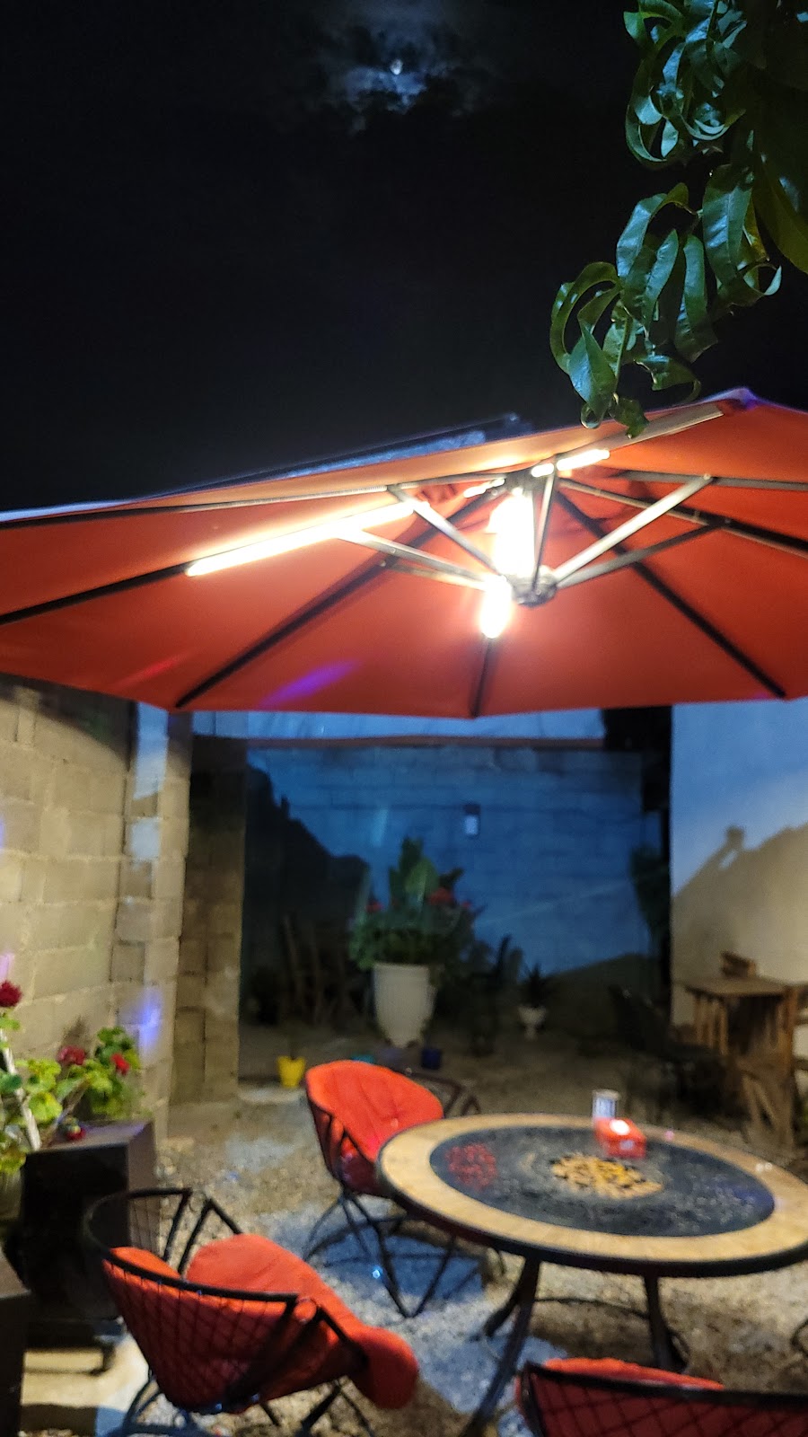 کافه اردیبهشت، تصویر ۶