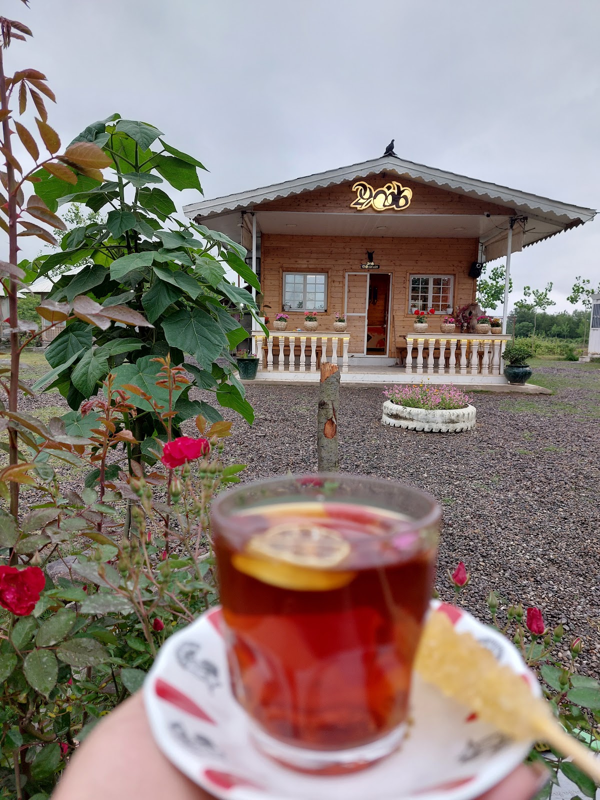 کافه رستوران 29، تصویر ۳
