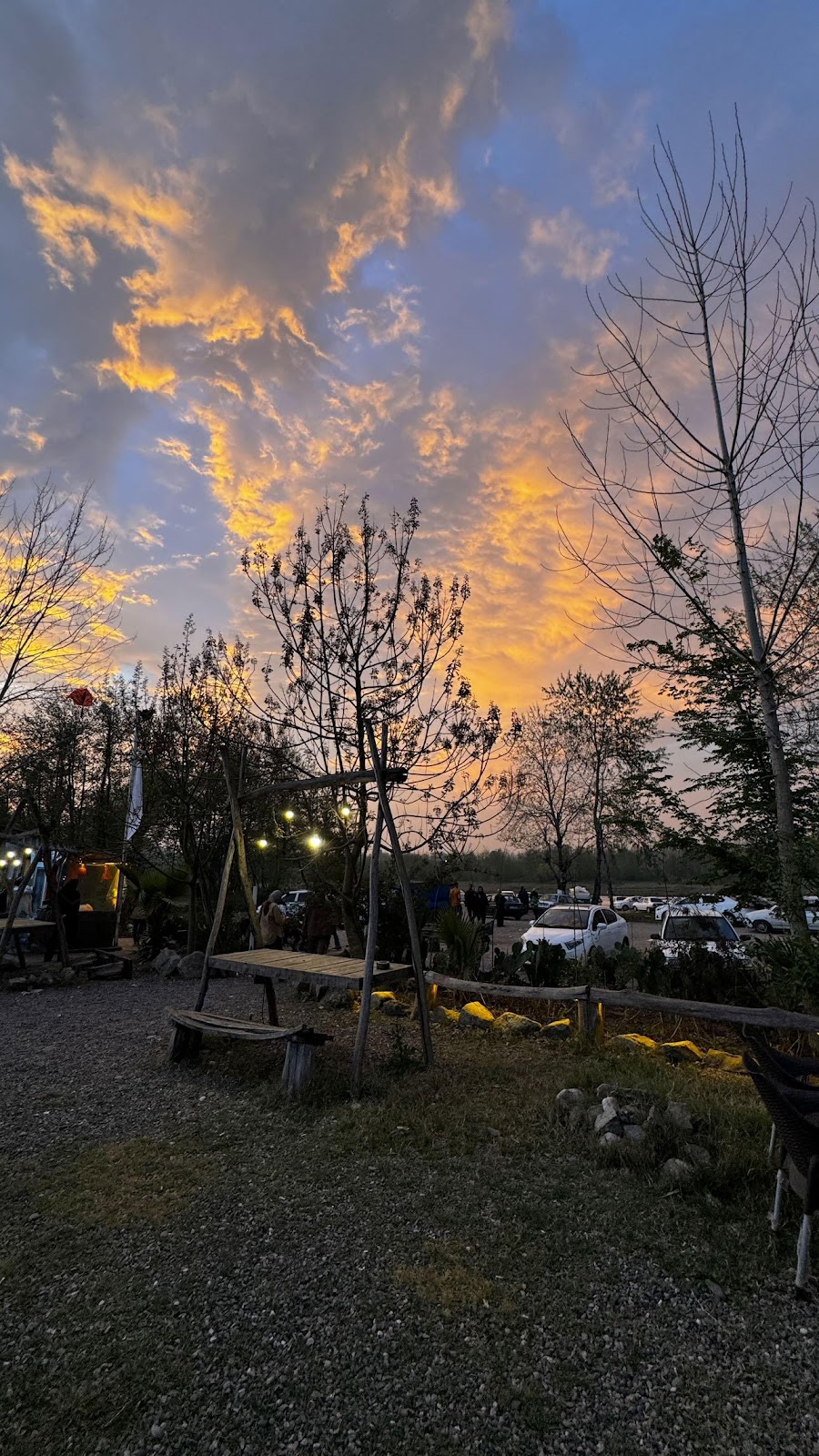 کافه رستوران 29، تصویر ۷