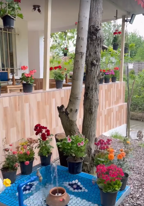 چایخانه سنتی عمه خانم، تصویر ۴