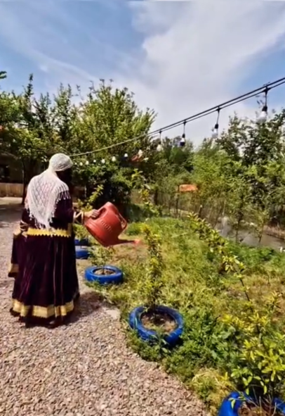 چایخانه سنتی عمه خانم، تصویر ۵