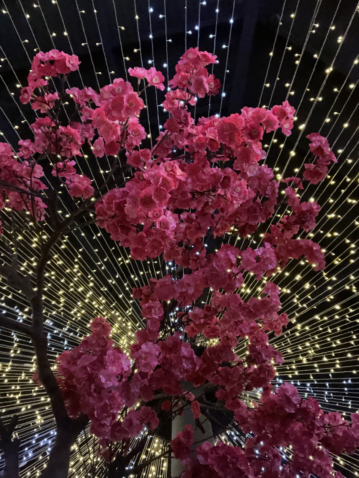 کافه رستوران علیرضا، تصویر ۷