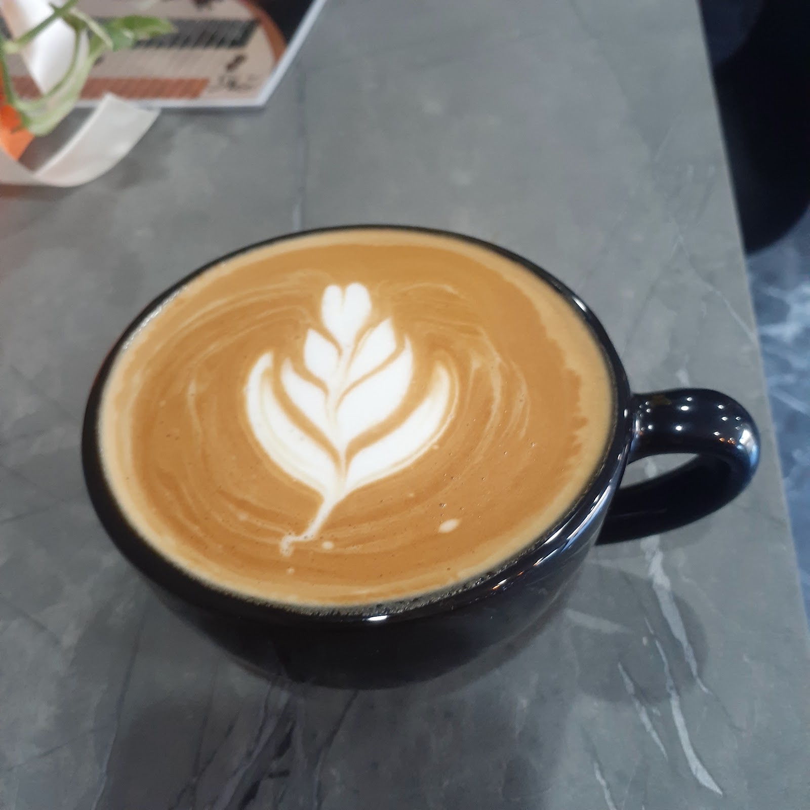 کافی ام تو، تصویر ۲