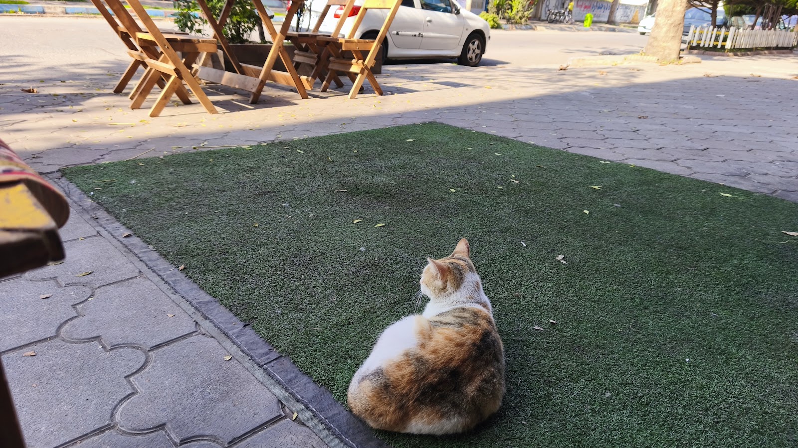 کافه گلچای، تصویر ۳