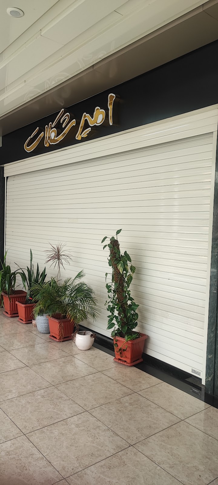 امیر شکلات، تصویر ۳