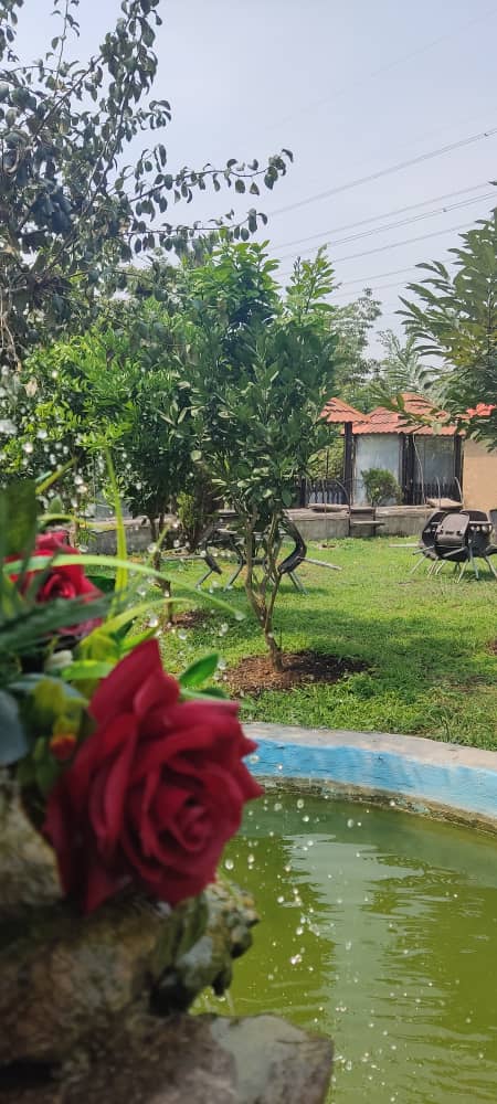 کافه سنتی شمرود، تصویر ۳