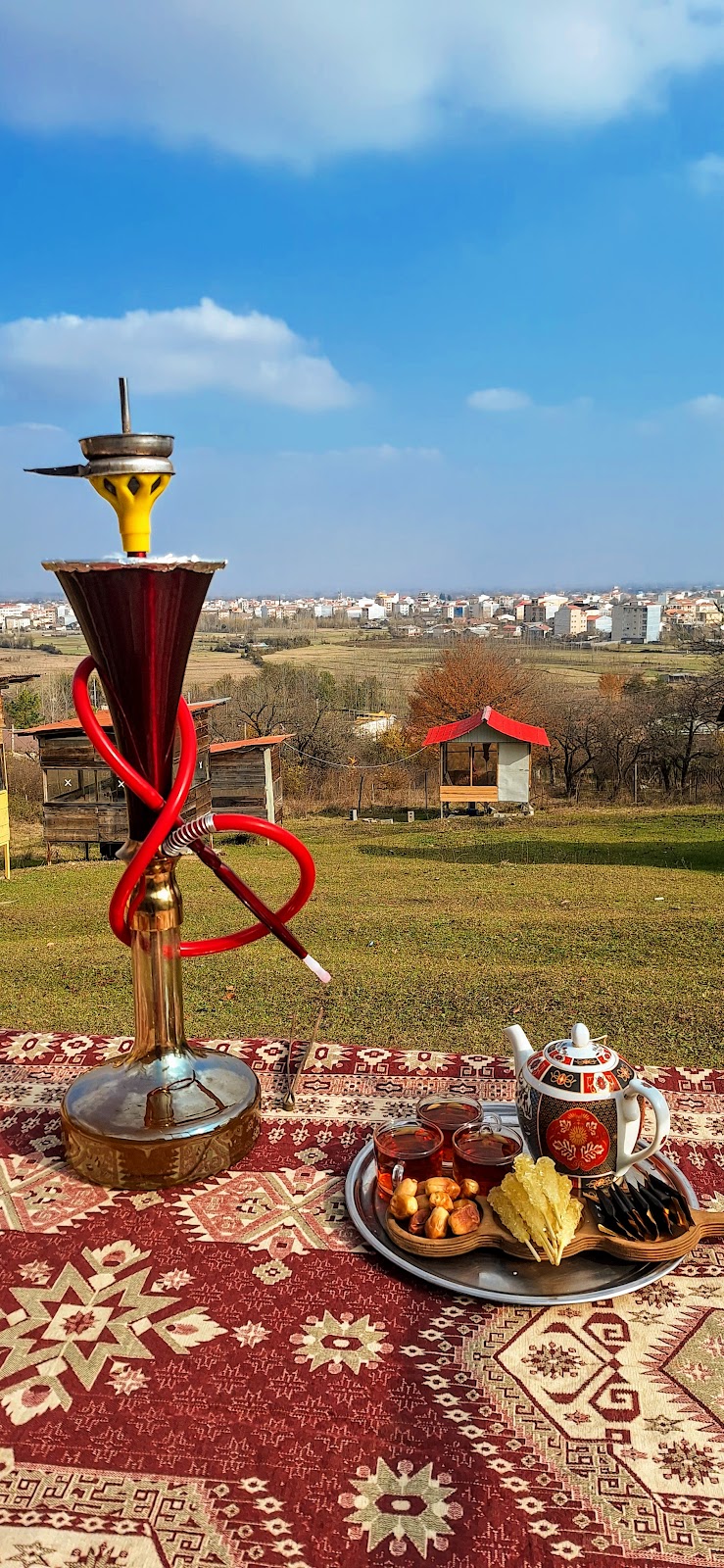 کافه باغ دیلاچیک(دلچسب)، تصویر ۶
