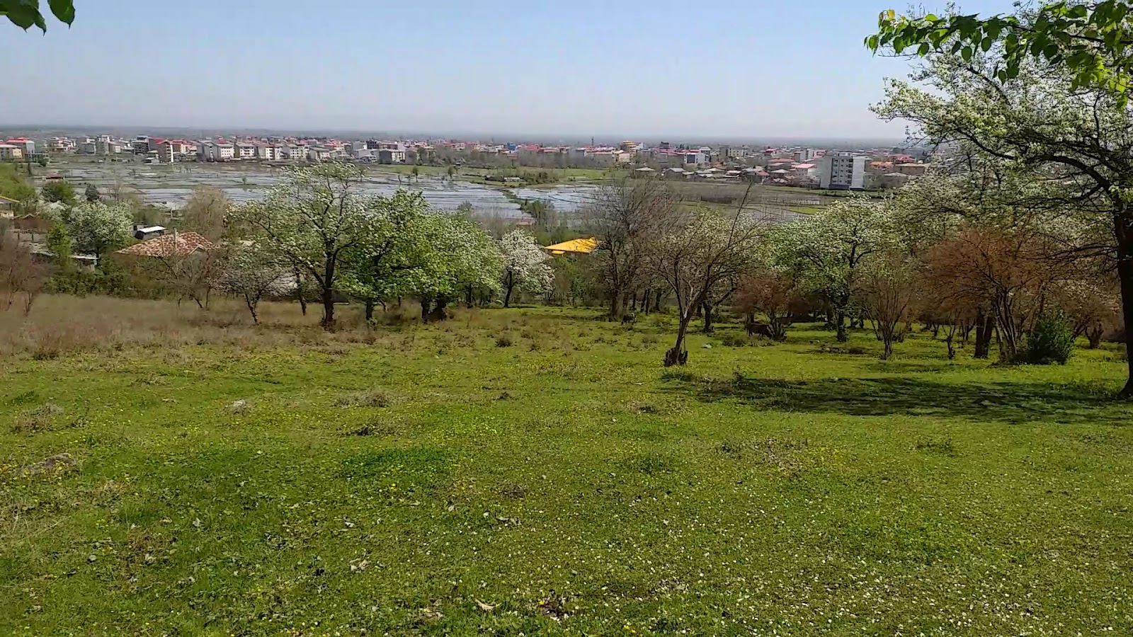 کافه باغ دیلاچیک(دلچسب)، تصویر ۸