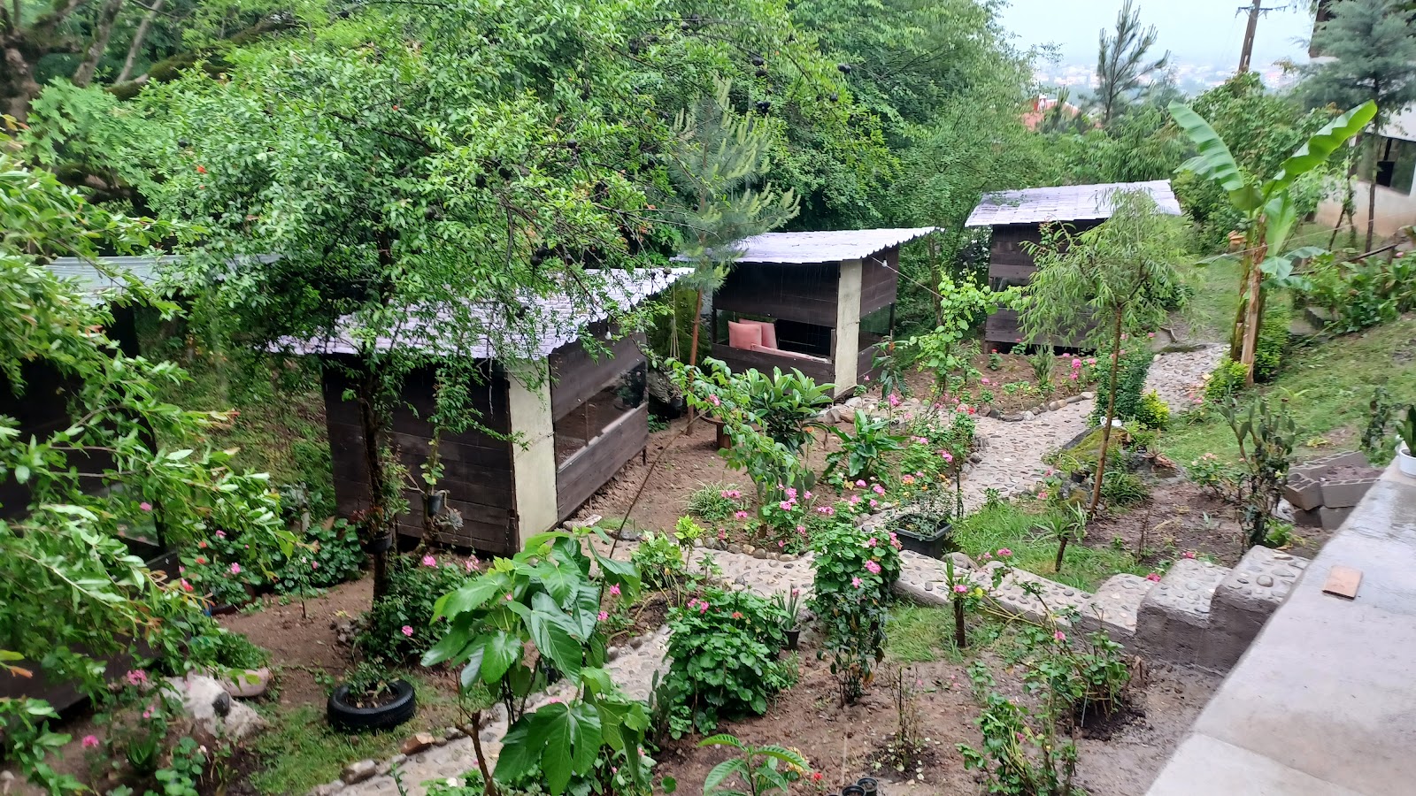 کافه باغ سنتی (باغ انار)، تصویر ۴