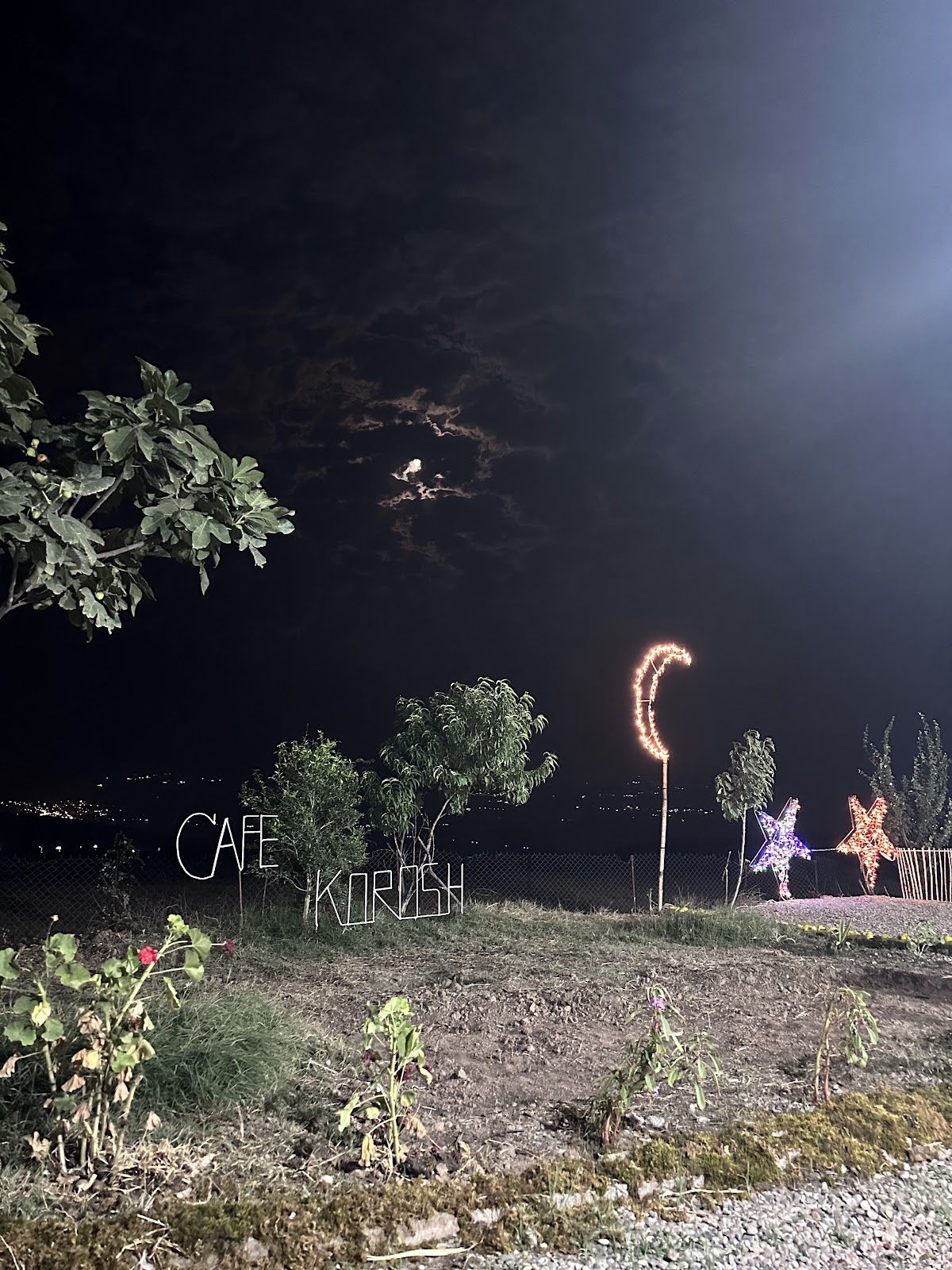 کافه کوروش جوبن، تصویر ۳