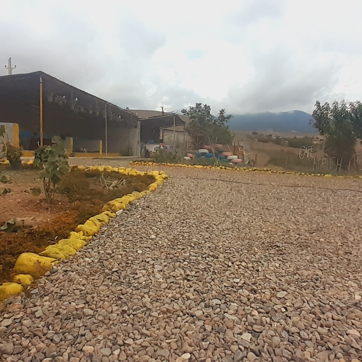 کافه کورش جوبن، تصویر ۴