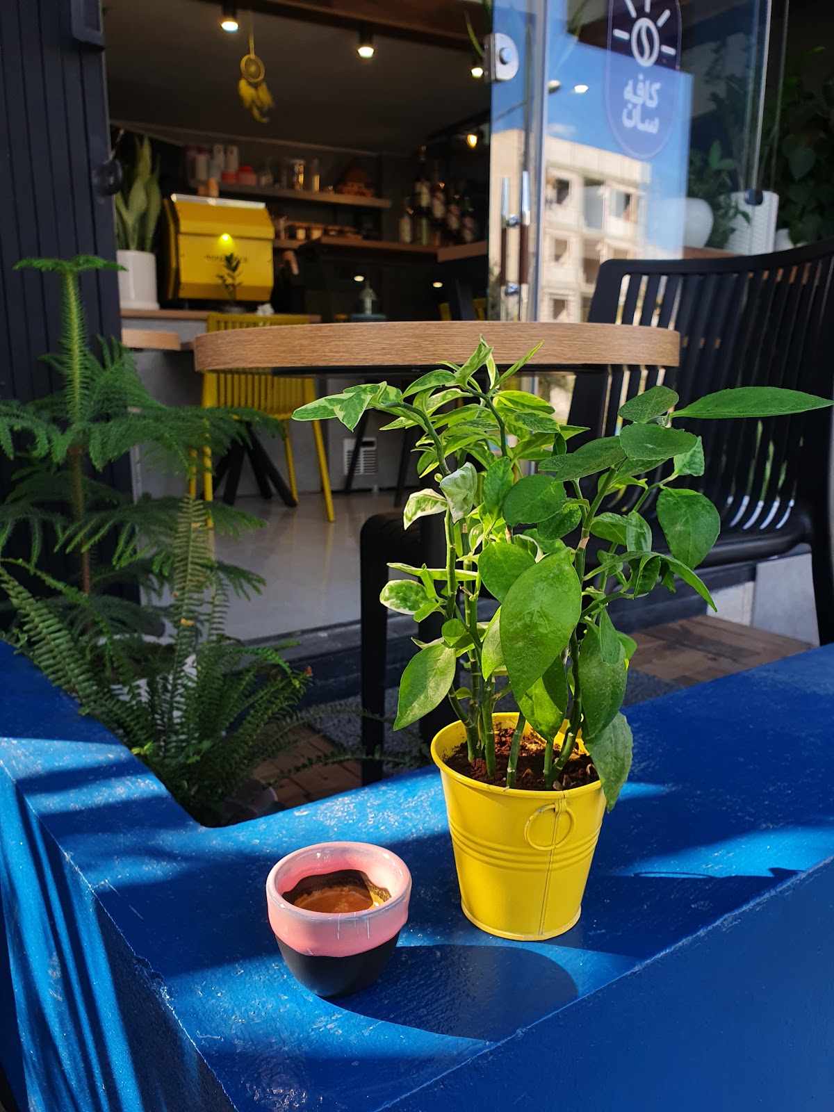 کافه سان، تصویر ۷
