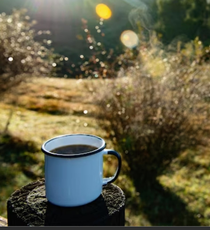 اسکولاک الی، تصویر ۵